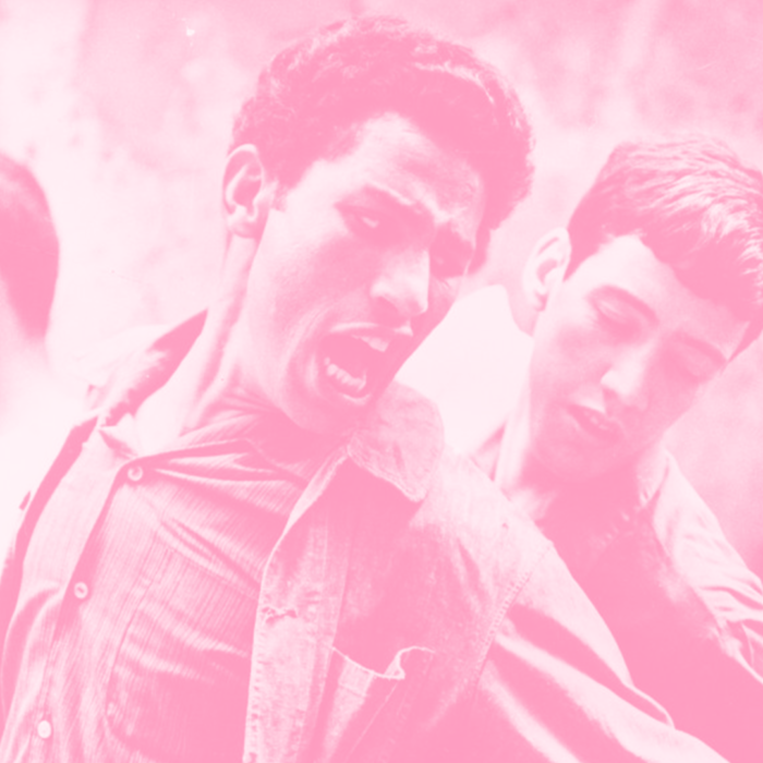 How does The Battle Of Algiers help us make sense of Israel’s war on Palestine?